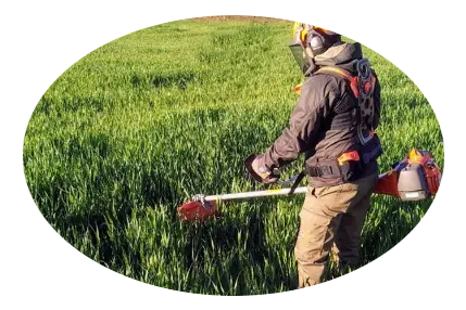 Desbroces de fincas Limpieza de parcelas y terrenos